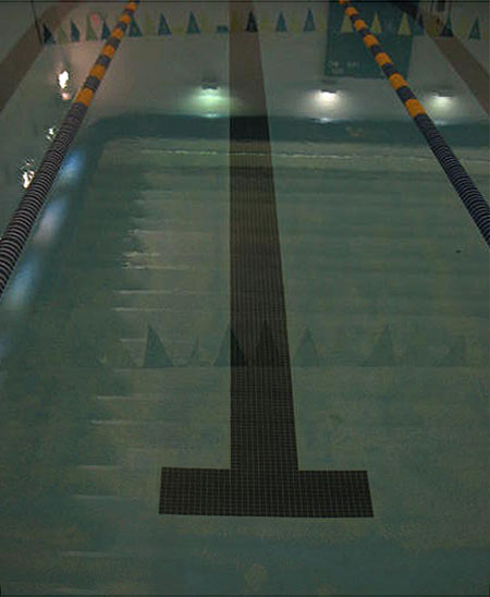 Notre dame pool #1P&R